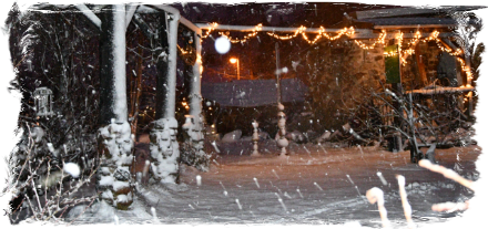 Winterliche Stimmung im Traumgarten Eifel